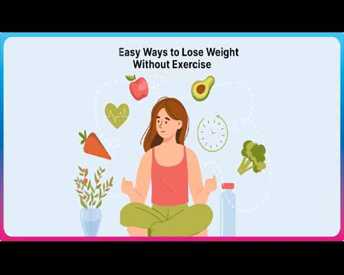 How To Lose Weight Naturally Without Exercise?